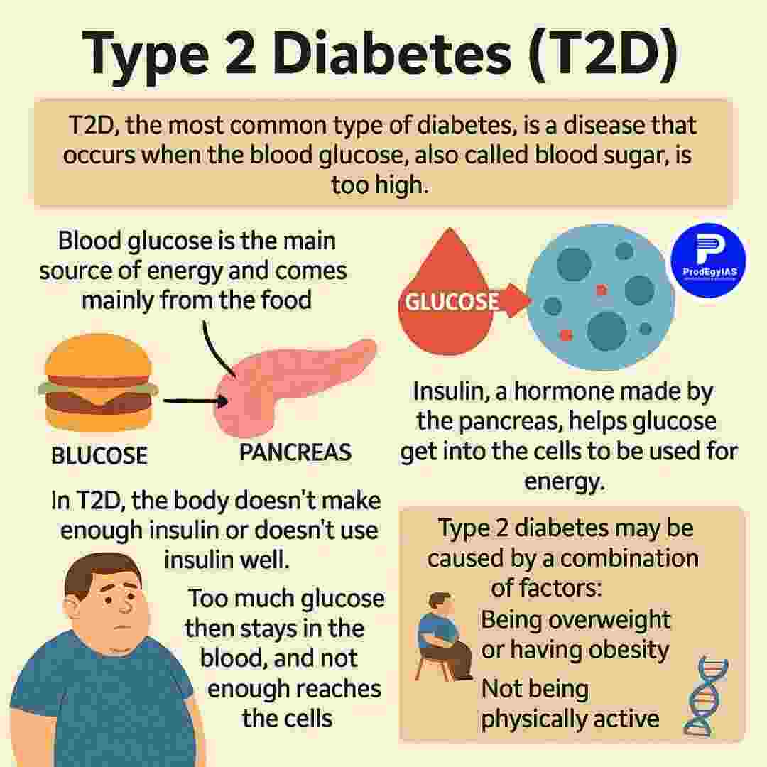 Infographic showing causes and symptoms of Type 2 Diabetes
