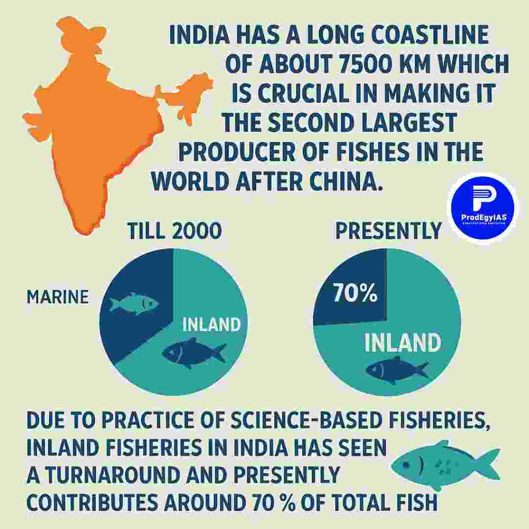 Fishermen casting nets along India's coastline with rising inland aquaculture trends