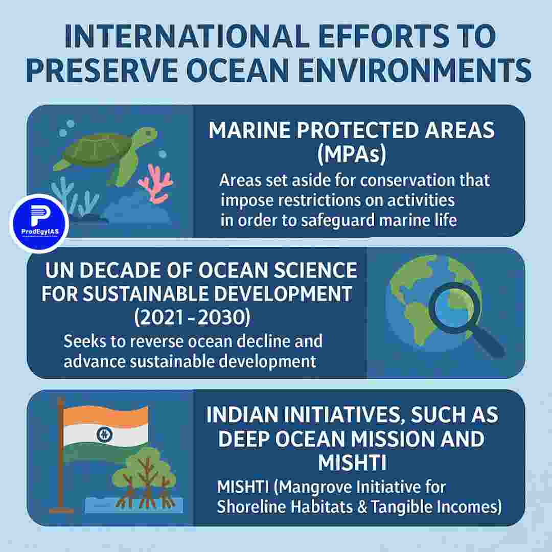 Brazil and France launch Blue NDC Challenge to promote ocean-centered climate action before COP30